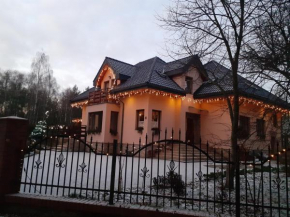 Noclegi Pod Dębem, Pulandia Brzózki, Brzózki
